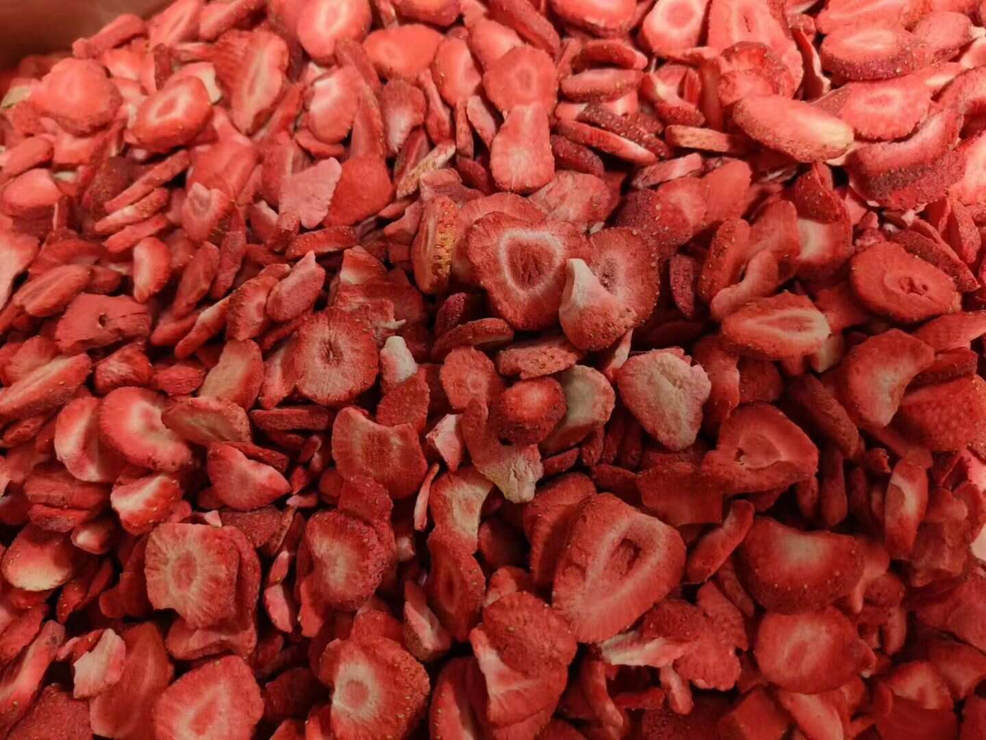 WYLFOODS lanza una nueva serie de frutas y verduras liofilizadas