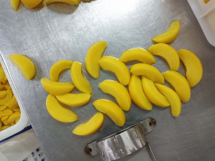 WYLFOODS: Your Reliable OEM & ODM Partner for Frozen Fruits and Vegetables