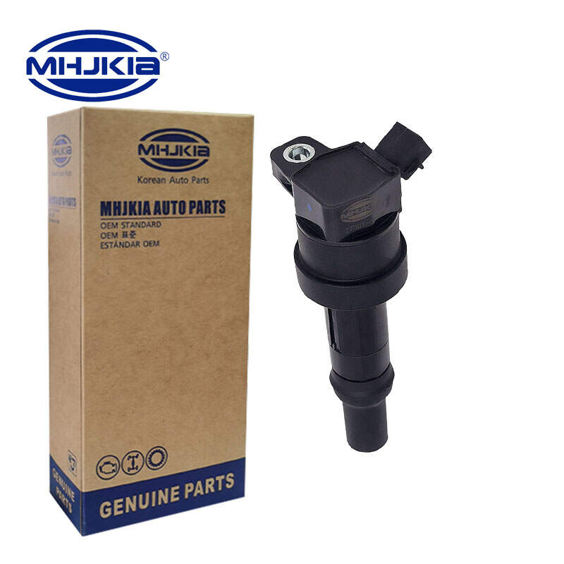 Factory Mhjkia постачає високоефективне запалювання котушка Bobina de encendido 27301-04000 для Hyundai