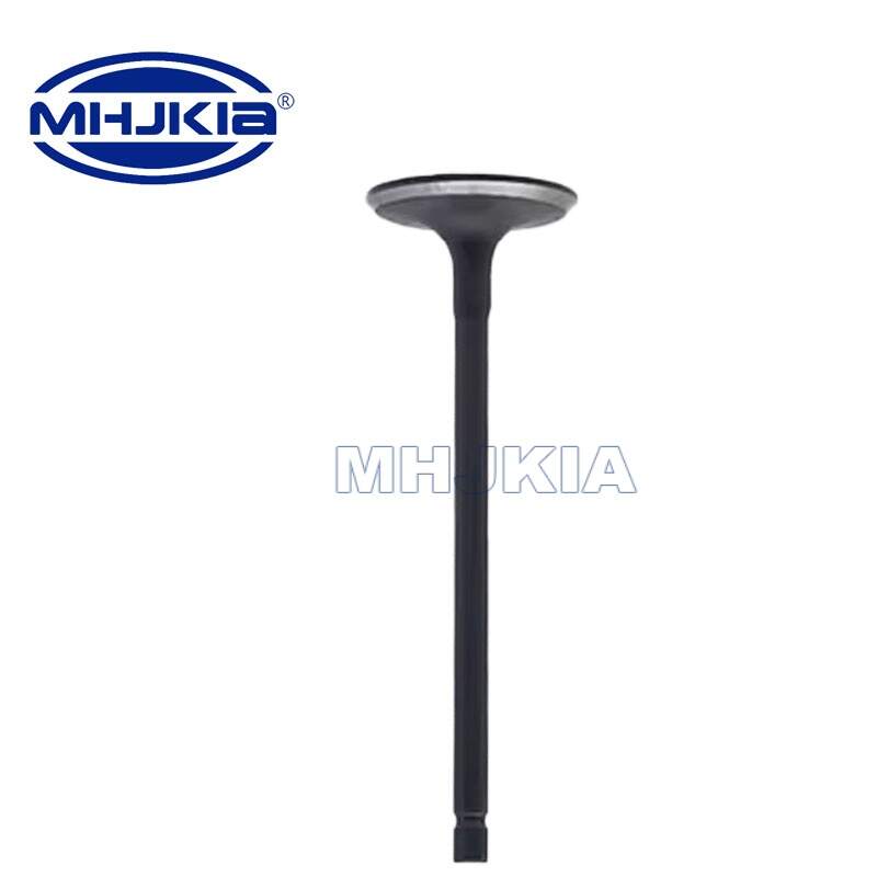 Engine INTAKE VALVE, Exhaust Valves, Intake Valve Replacement