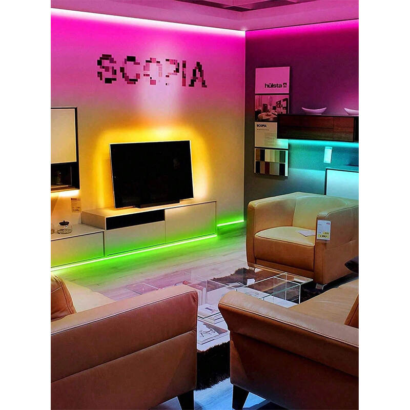 RGB LED Strip Light Manufacturer | Dimmable Color Changing Light OEM for TV & Party Decor