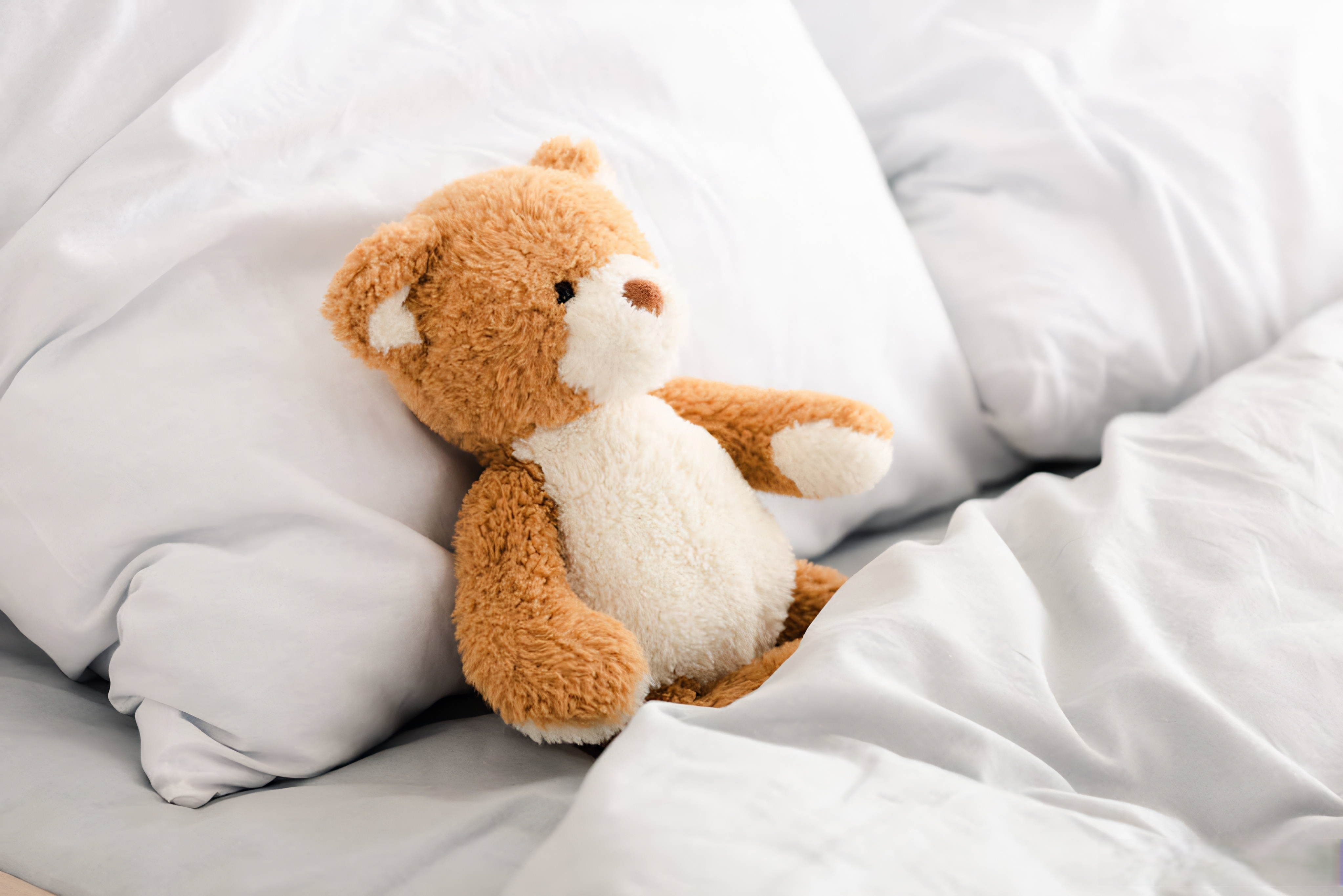 China Soft Toy Manufacturers: A Practical Guide for Global Buyers to Source Safe and Competitive Products