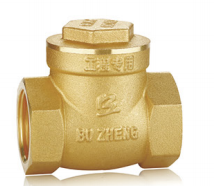 Brass Engineering Check Valve