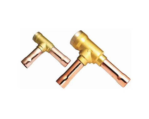 Check Valve