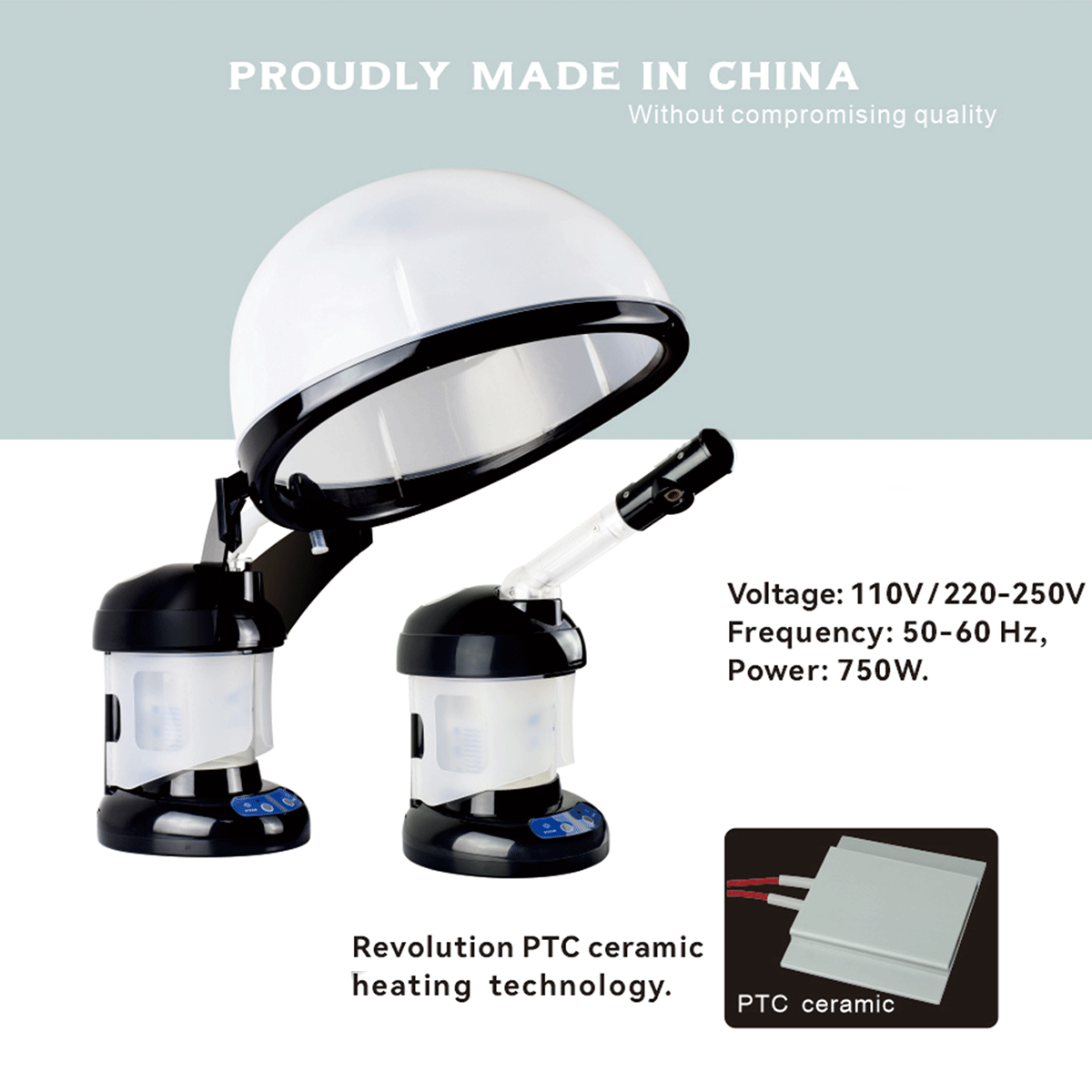professional face steamer,steamer facial ozone,nano ionic facial steamer,facial and hair steamer