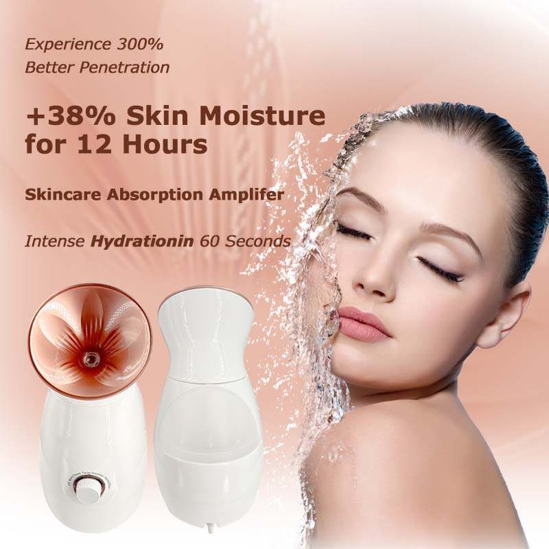 face steamer,professional facial steamer,nano steamer,face steam machine,best face steamer