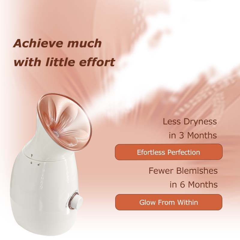 face steamer,professional facial steamer,nano steamer,face steam machine,best face steamer