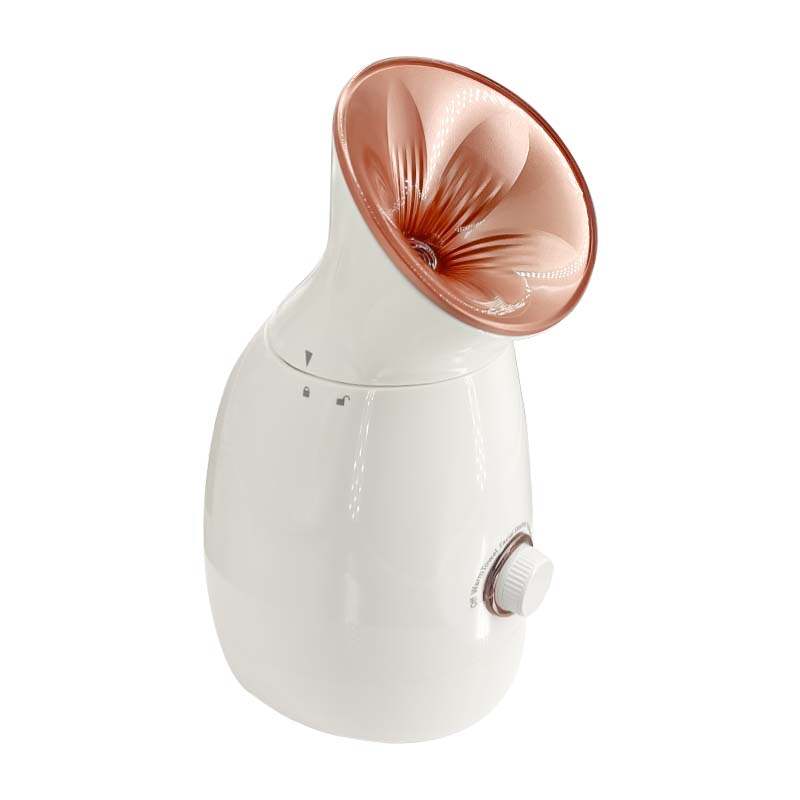 face steamer,professional facial steamer,nano steamer,face steam machine,best face steamer