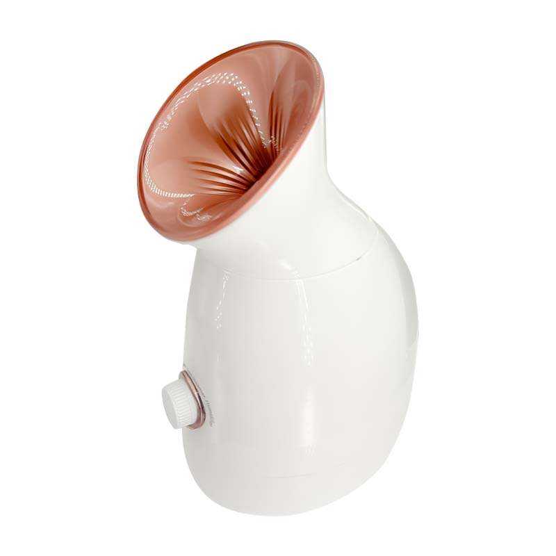 face steamer,professional facial steamer,nano steamer,face steam machine,best face steamer