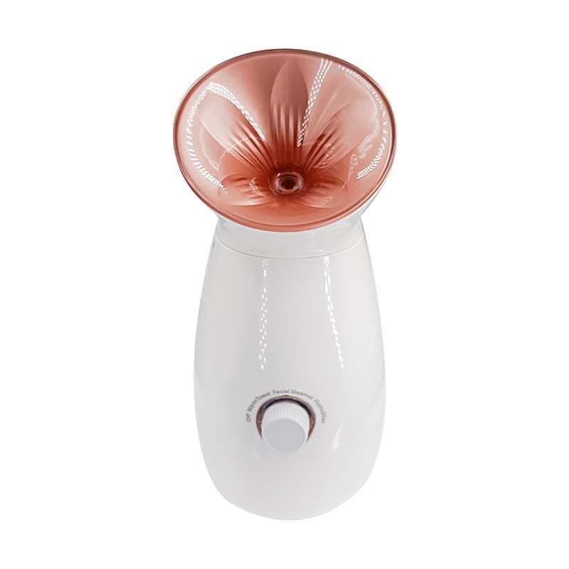 Face Steamer