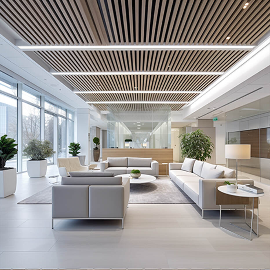 Chapter 1: Linear Square Ceiling: Functional Practitioners of Linear Aesthetics