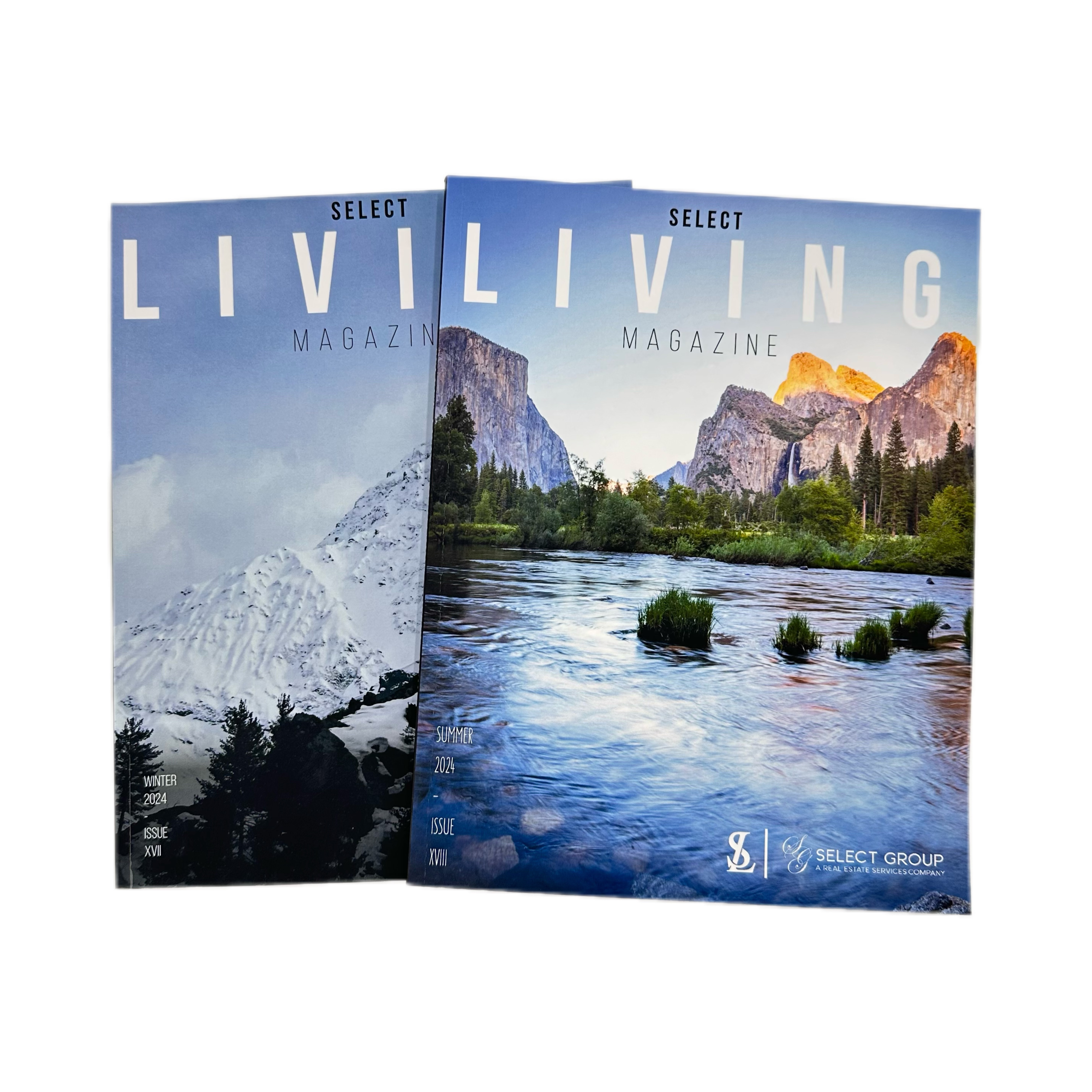 Magazine & Catalogue