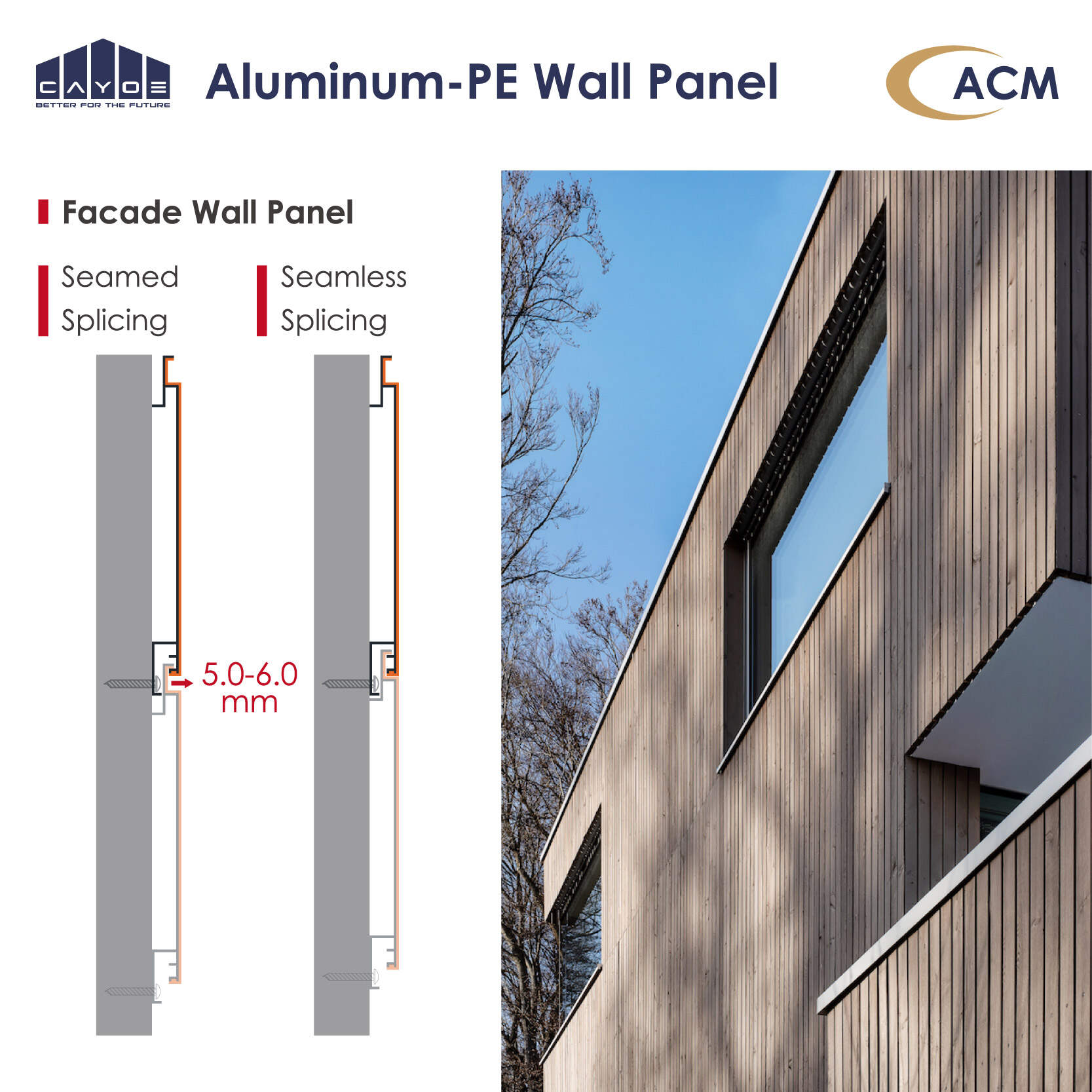 ACM Wall Panel