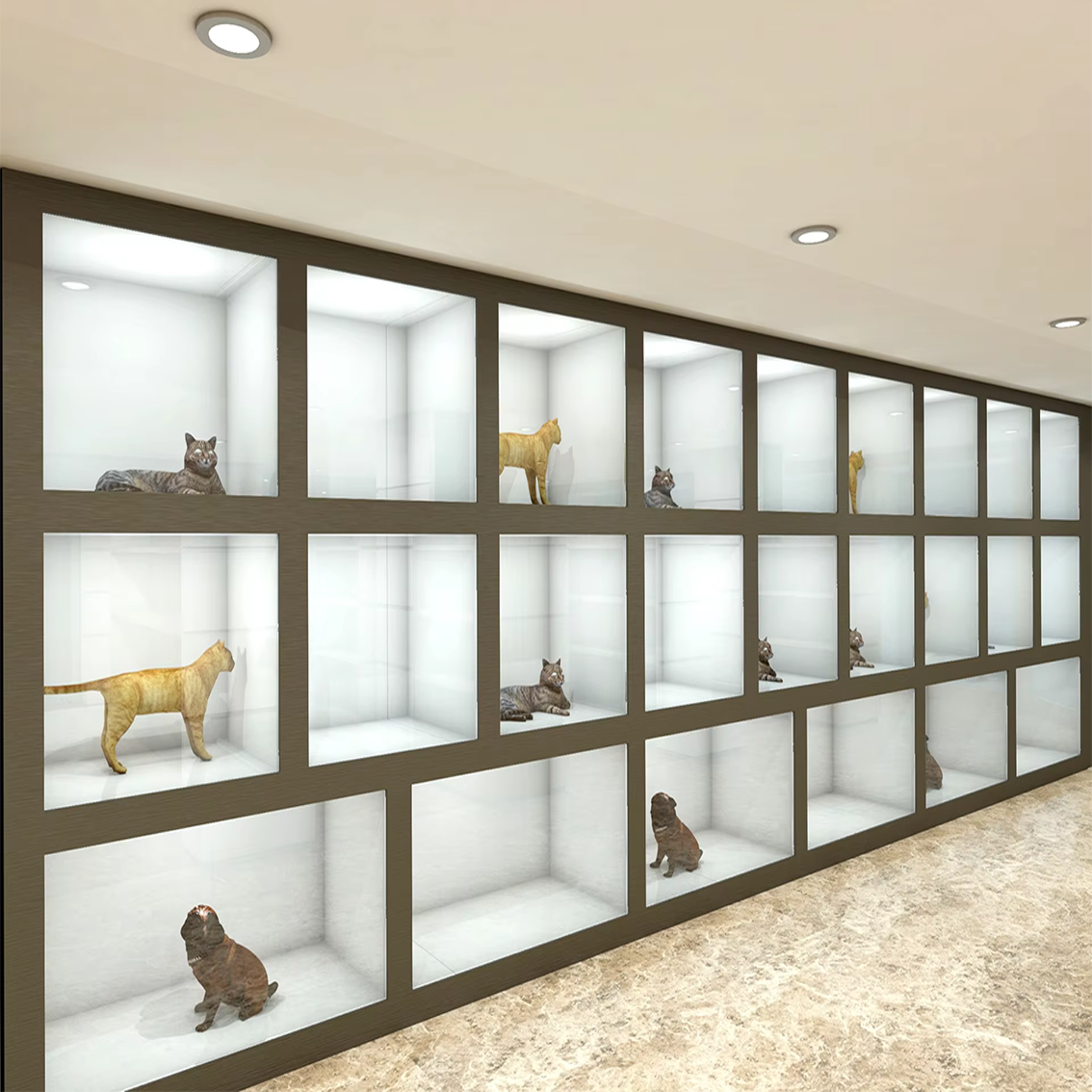 Custom Retail Pets Store