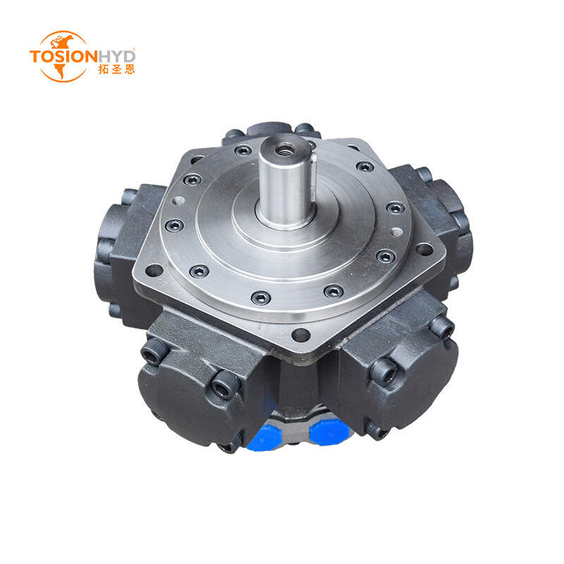 INTERMOT IAM HYDRAULIC MOTOR RADIAL PISTON IAM1/IAM2/IAM3/IAM4/IAM5/IAM6/IAM8/IAM11/IAM16/IAM31/IAM70/IAM100