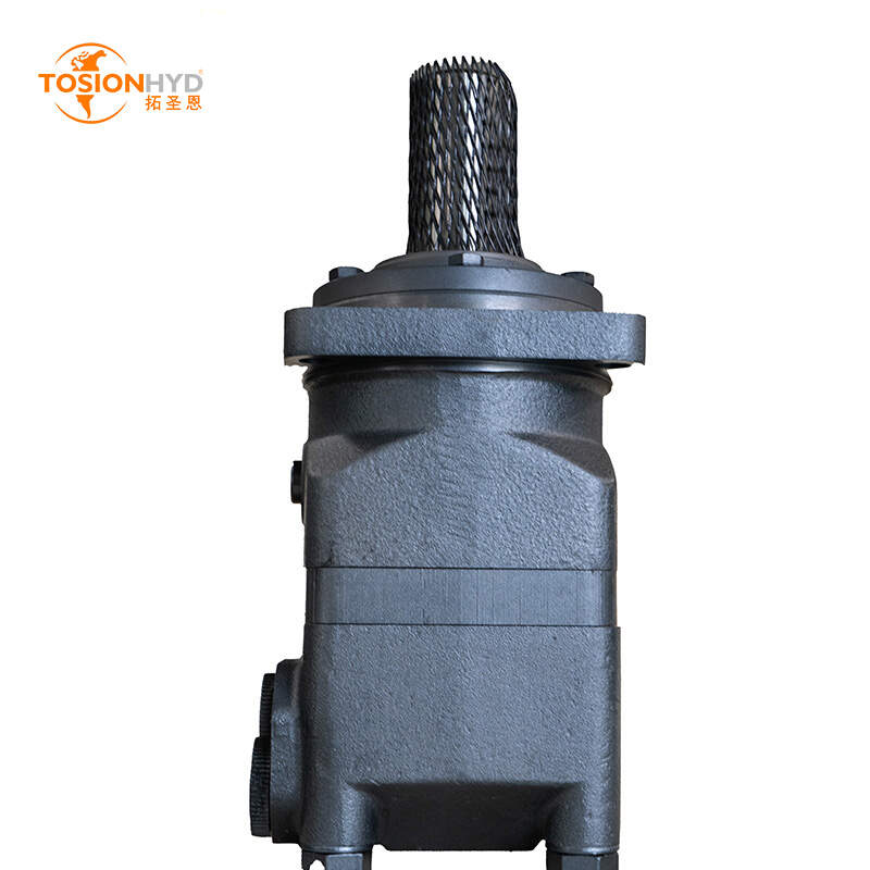 BMT ORBIT MOTOR DANFOSS BMT EATON4000/6000 SERIES  BMT/BMTS/BMTE/BMTJ/BMTZ 160/200/230/250/315/400/500/630/800