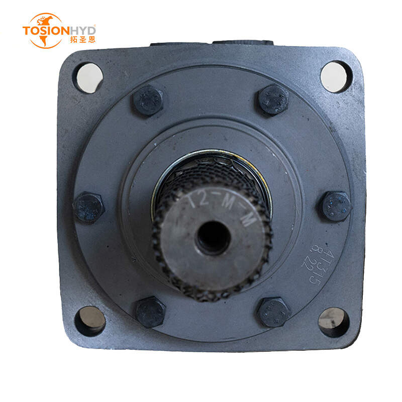 orbital hydraulic motor manufacturers, servo motor factory, servo motor made in china, power supply for brushless dc motor, power supply for servo motor