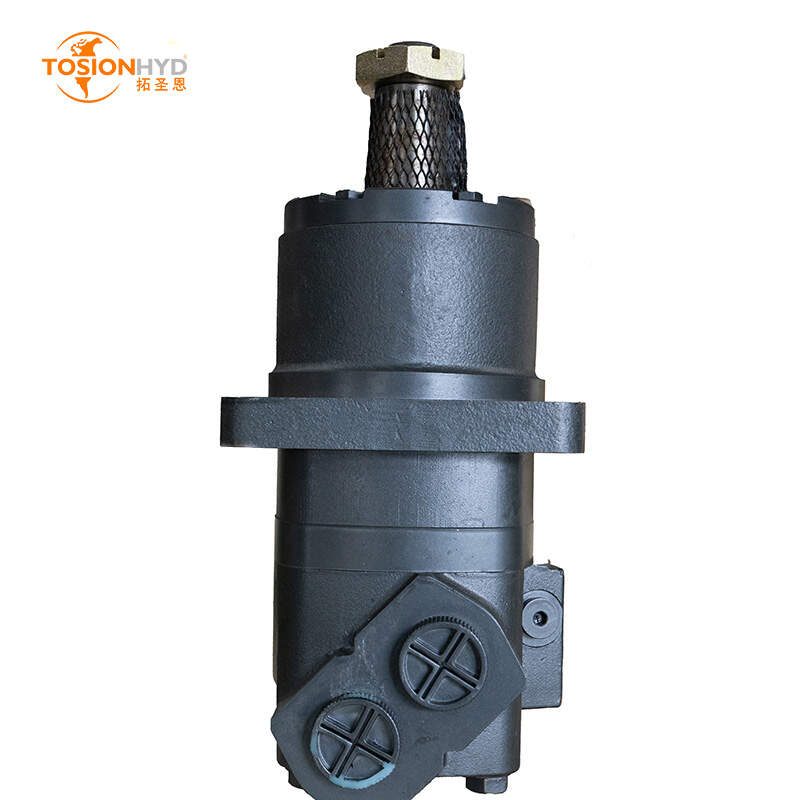 BMK6 ORBIT MOTOR DANFOSS OMT PARKER TE SERIES BMK6-200/BMK6-250/BMK6-315/BMK6-400/BMK6-500/BMK6-630/BMK6-800/BMK6-1000