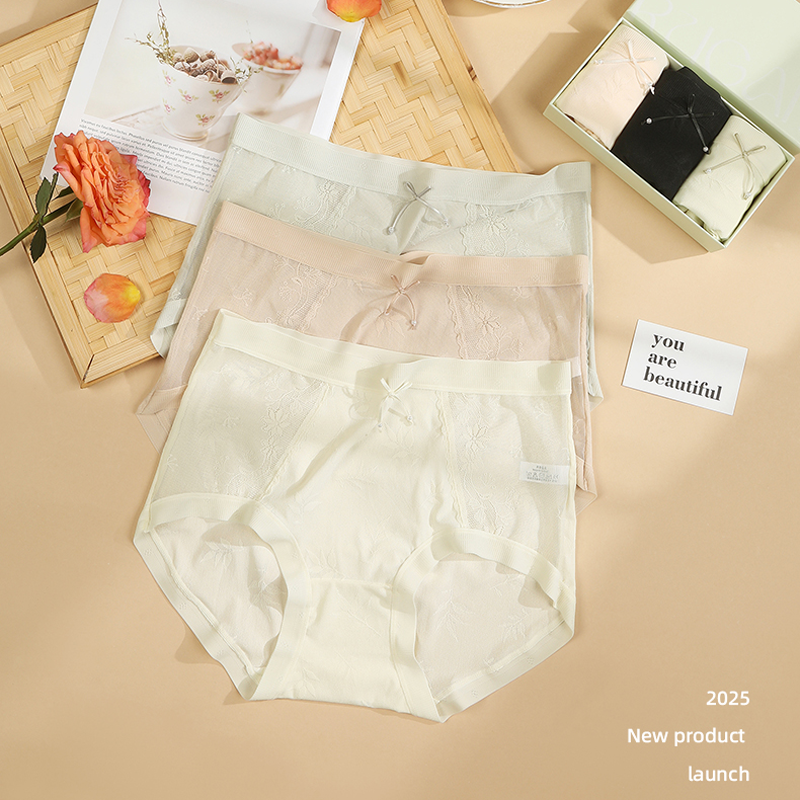 Luxury Mid-Rise Panties for Women – Soft Lace & Mesh Hipster Underwear with Mulberry Silk Gusset