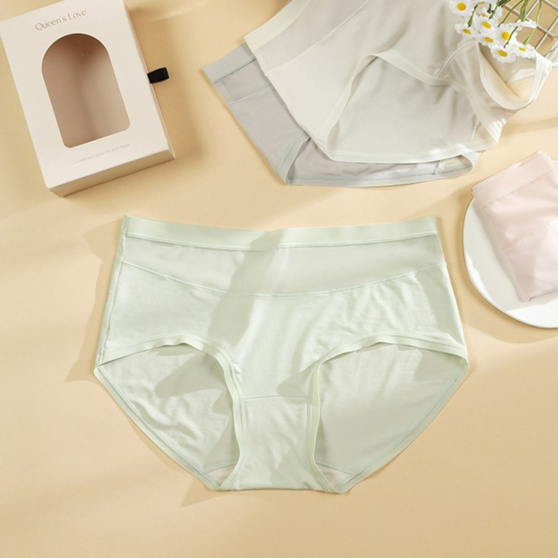 Women's 60S Modal Sheer Waistband Panties - Luxurious Lenzing Fabric & Mesh Trim
