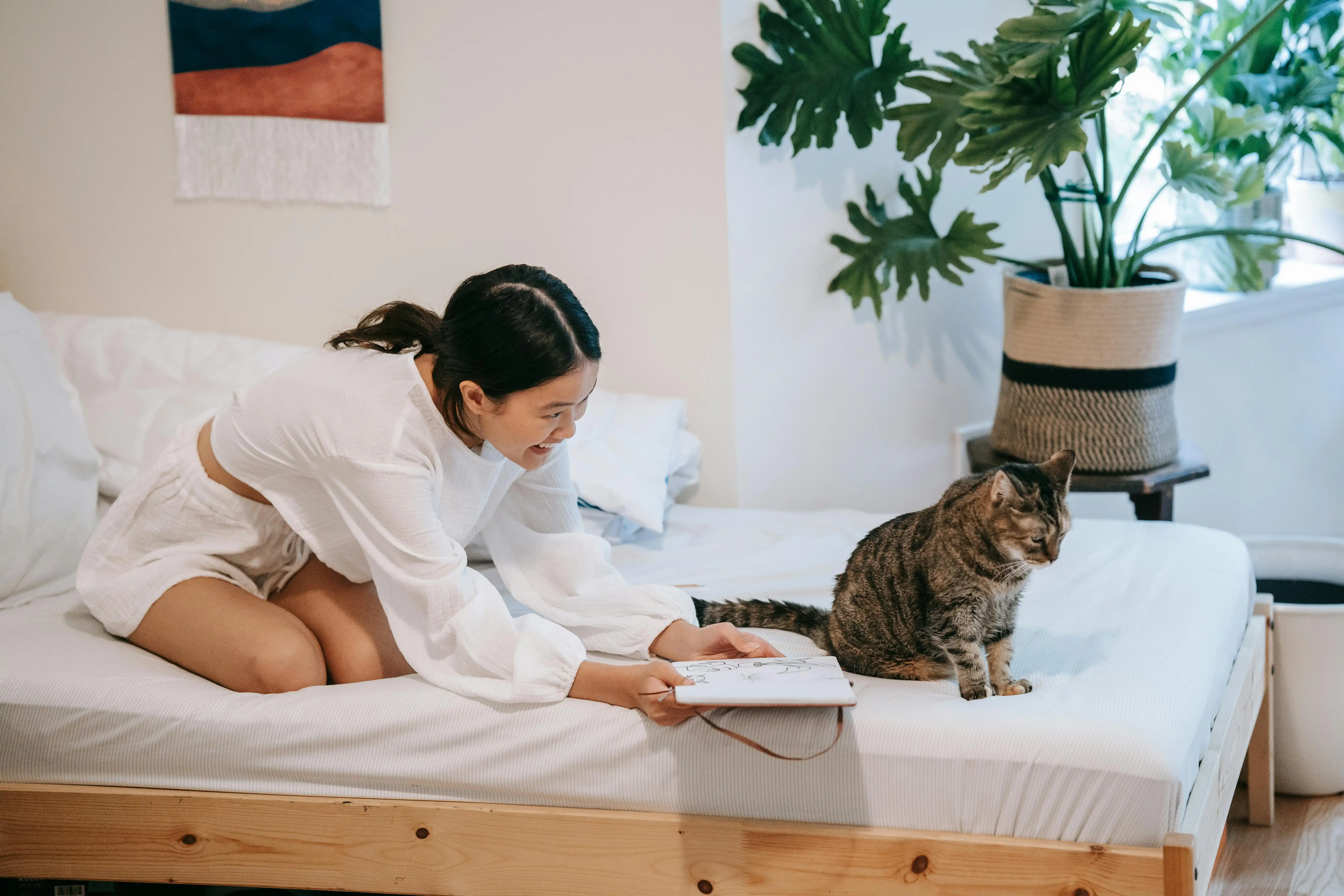 The Reasons to Choose a Wood Bed Stand