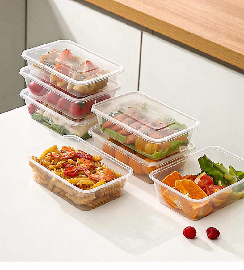 Disposable Lunch Box