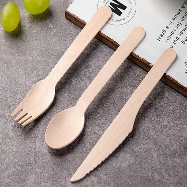 Disposable Fork and Spoon