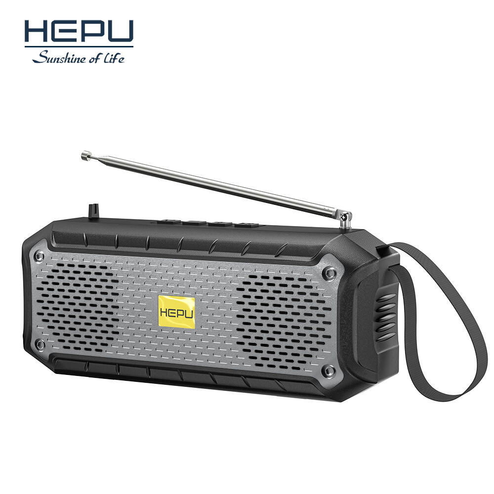 HP-S24