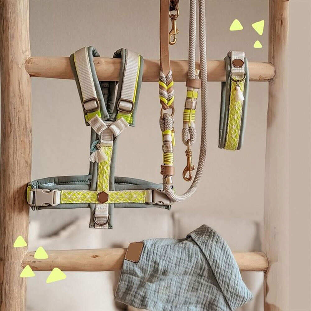 OEM Custom Pattern Dog Harness With Matching Leash Collar No Pull Walking for Small Medium and Large Dogs