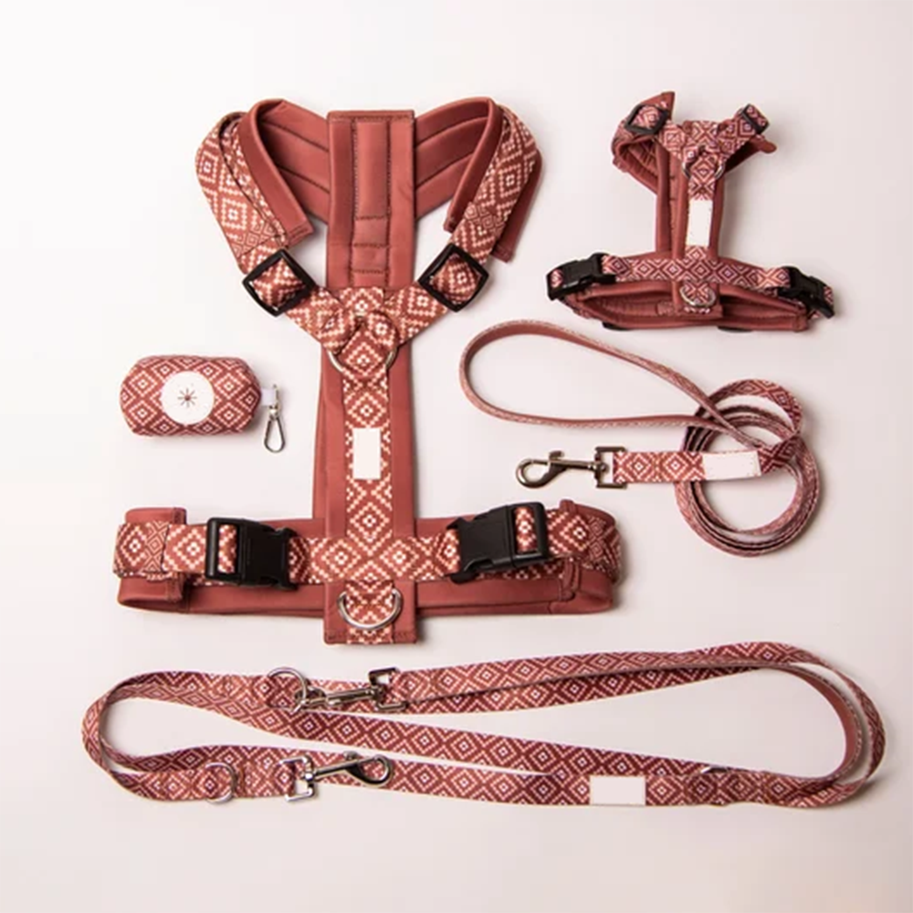 Custom Logo Dog Harness Lightweight Dog Harness Set Adjustable No Pull Pet Vest Pu Leather Nylon Round Rope Lead Leash Set