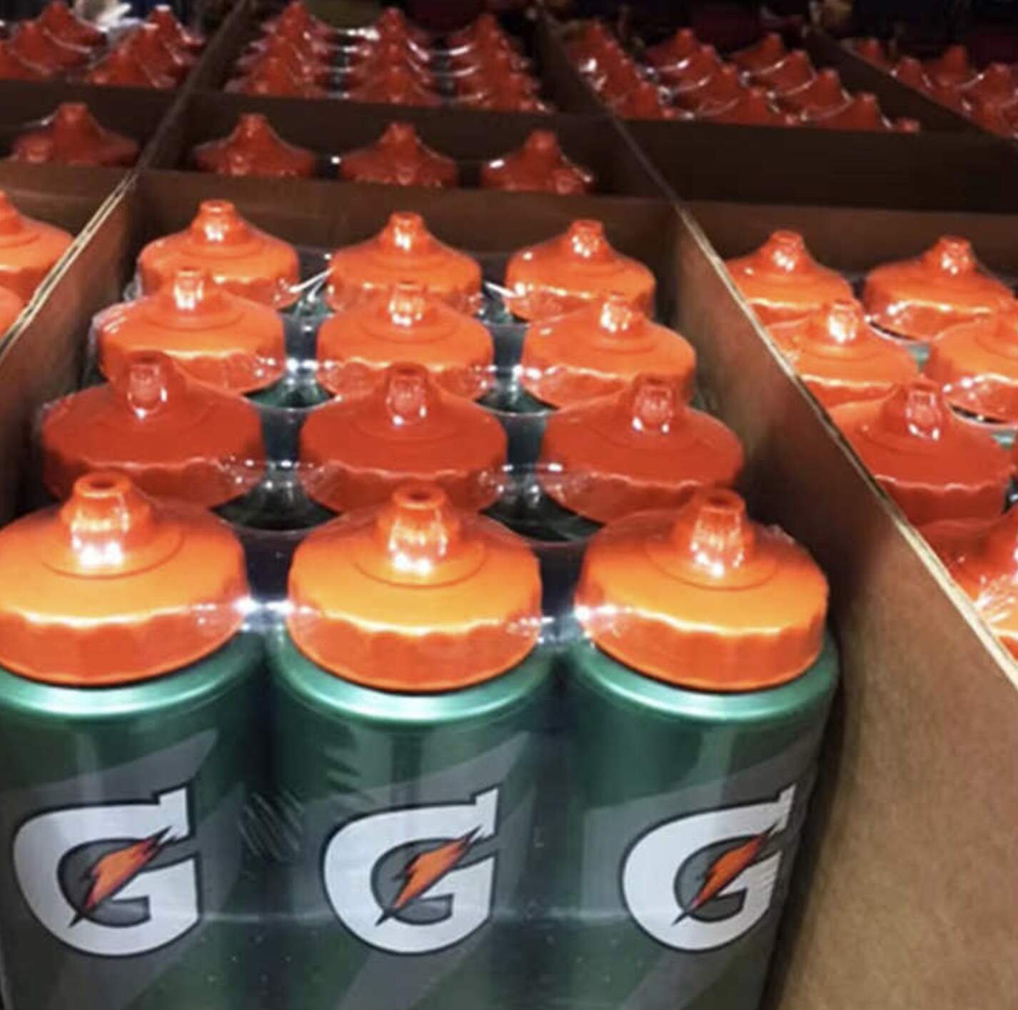 Gatorade 800ml bottle