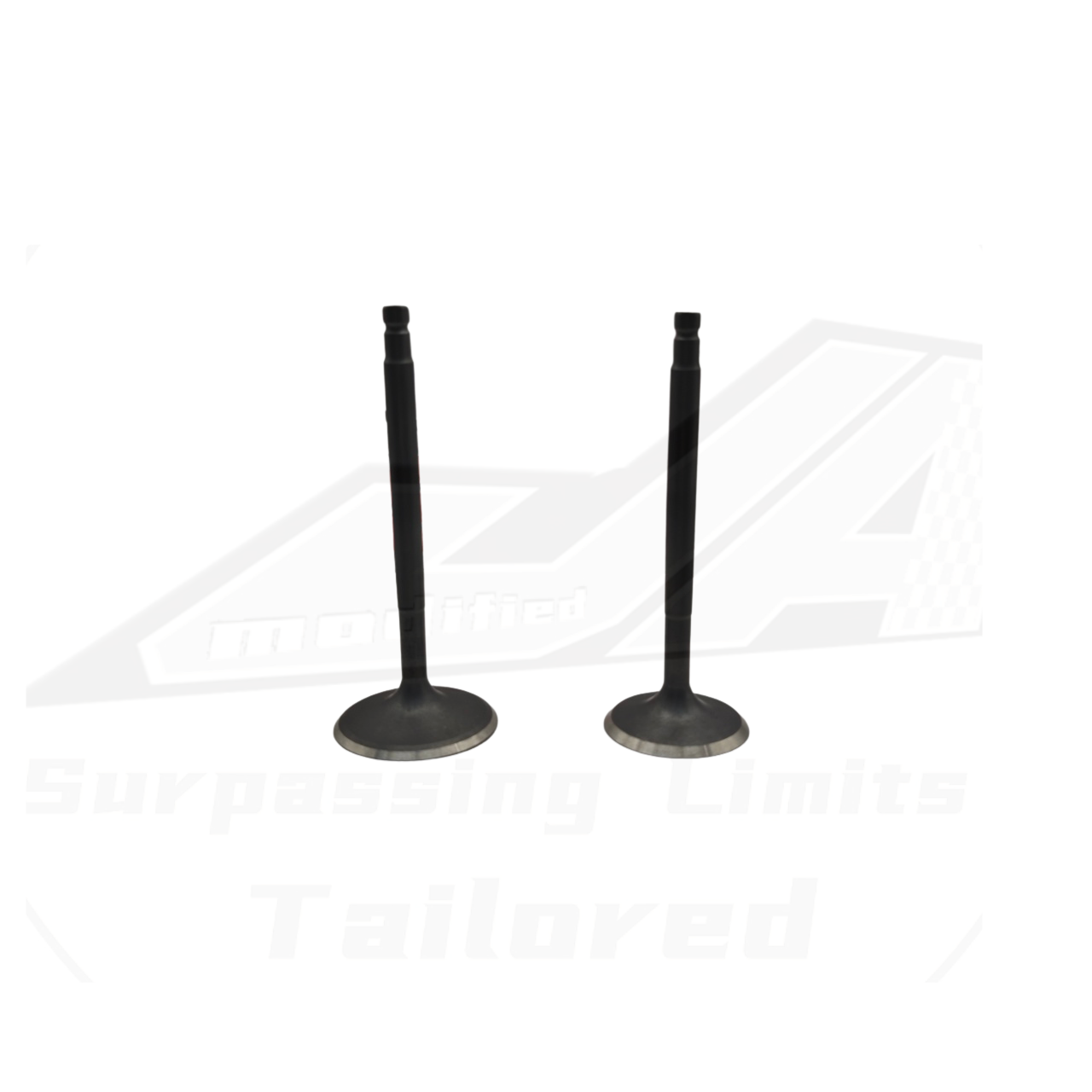 TB48 Valve  High Performance Intake/Exhaust Valve