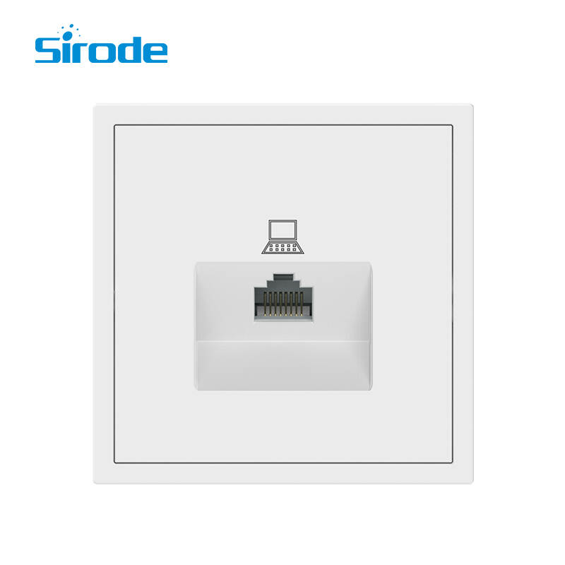 Europe Standard Modern White PC Plate 1 Gang Computer Electrical Wall Socket For Home