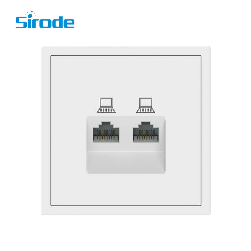 Europe Standard Modern White PC Plate 2 Gang Computer Electrical Wall Socket For Home