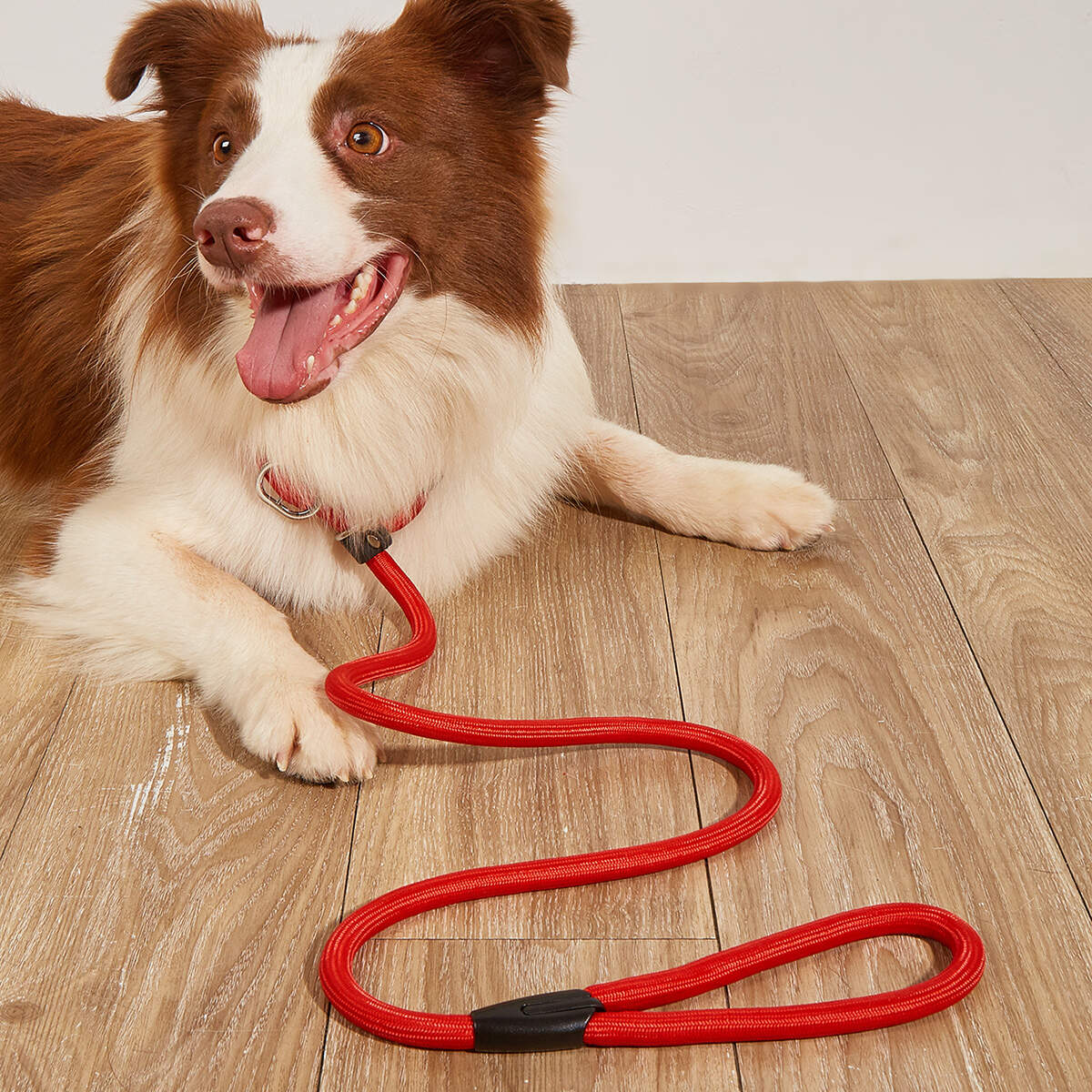 Custom 8ft 6ft 5ft Nylon Durable Handle Slip Training Pet Lead Long P Chain Rope Dog Leash