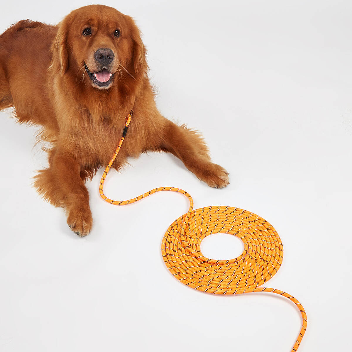 Custom Dog Adjustable Leash Personalized Custom Design Dog Leash Dog Leash Leads