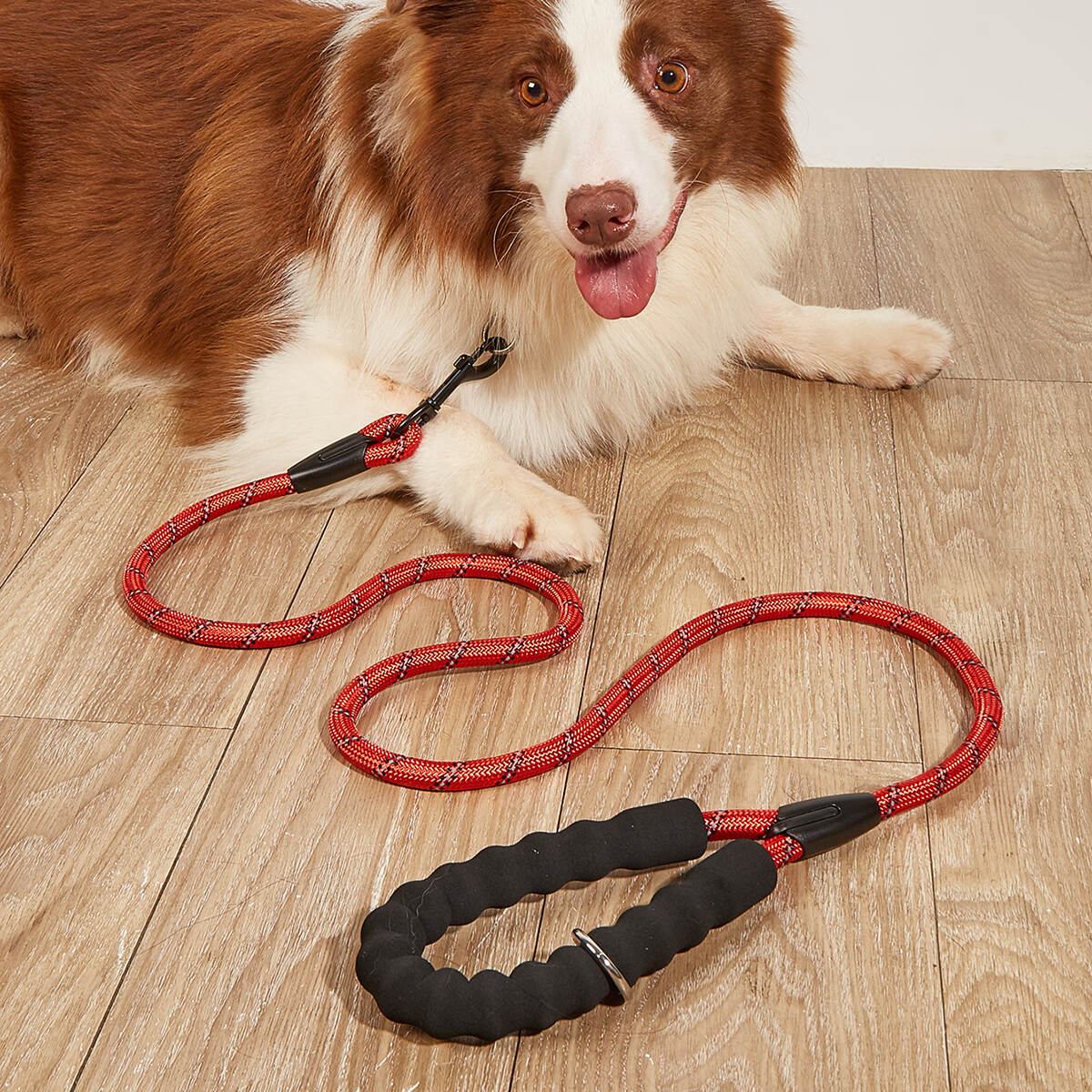 Newly Designed Double Padded Dog Leash for Pets Solid Pattern Bungee Reflective Rope Hands Free Leash with Adjustable Waist Belt
