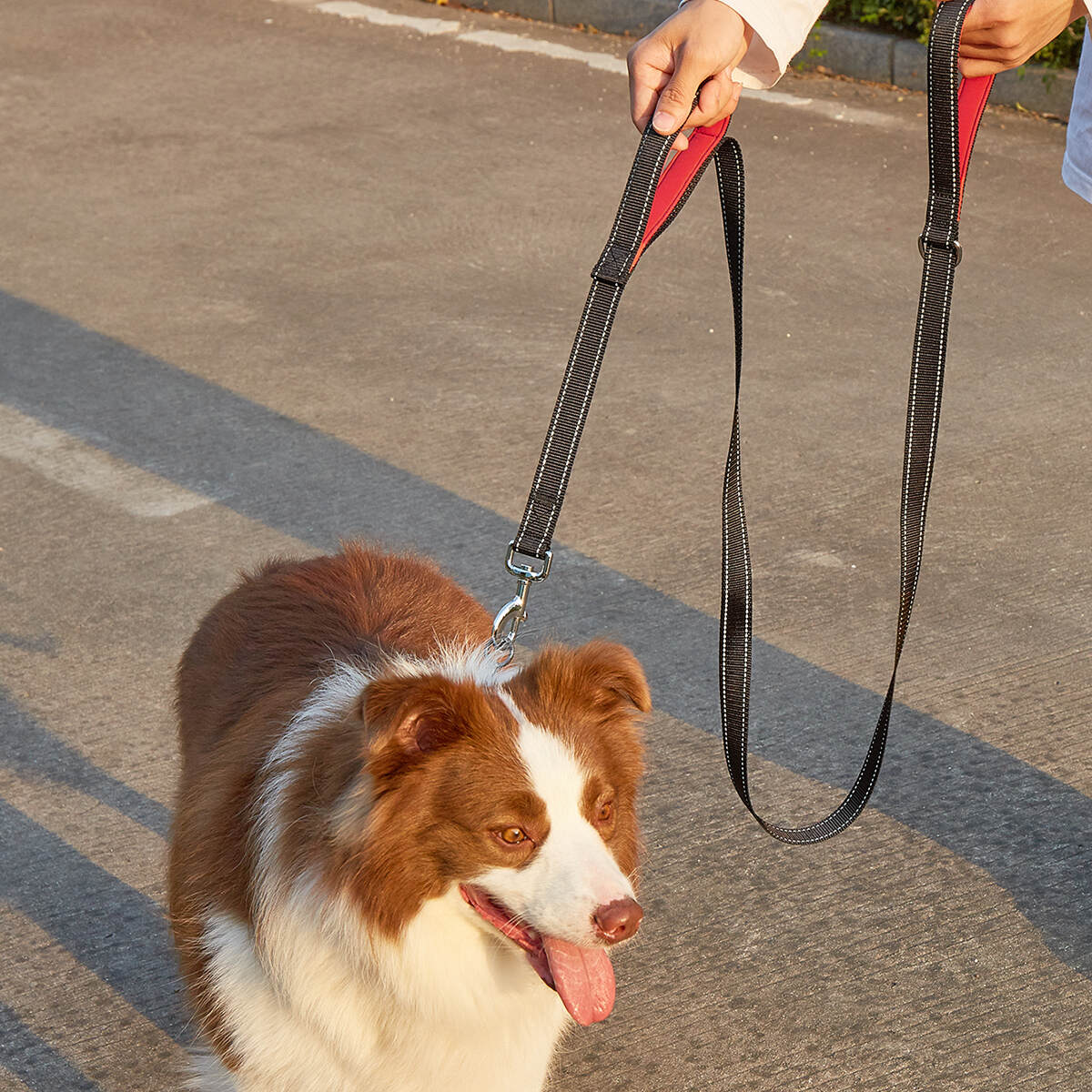 Reflective Elastic Bungee Rope Adjustable Waist Belt Dog Leash No Hands High Quality Padded Dual Handle for Dog Running