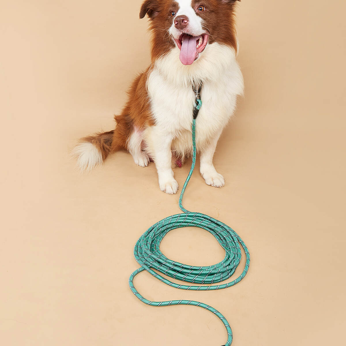 Strong Sturdy Comfortable Extremely Durable Dog Slip Rope Leash, Premium Quality Mountain Climbing Rope Lead Leash