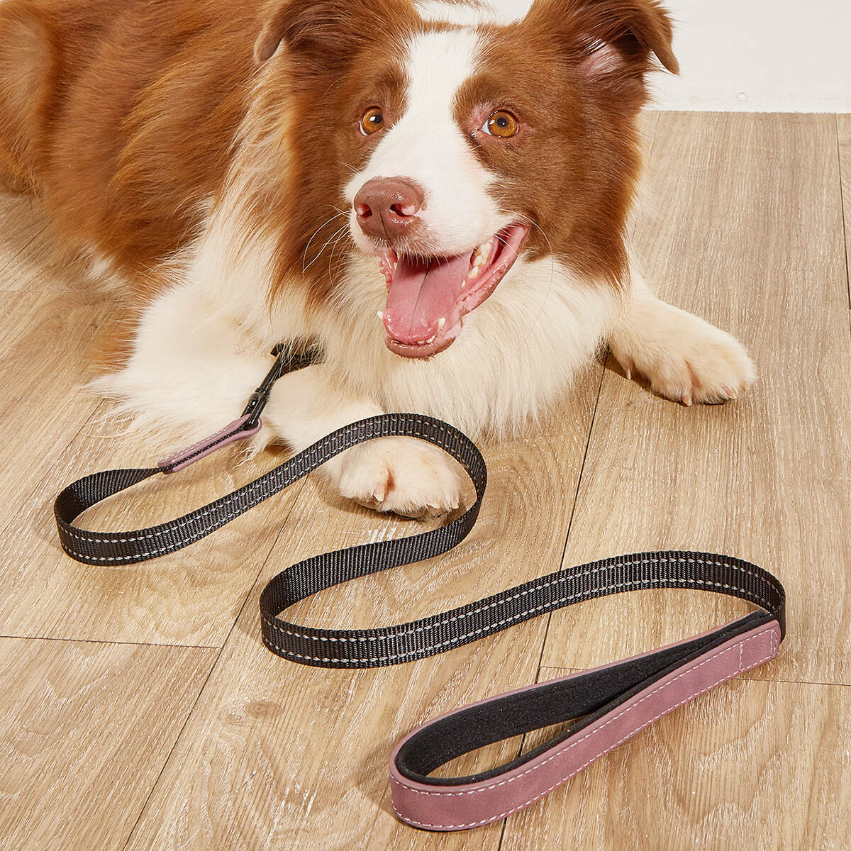Wholesale Custom Durable Strong Dog Leashes Reflective Nylon Heavy Duty Dog Leash with Soft Padded Double Handle