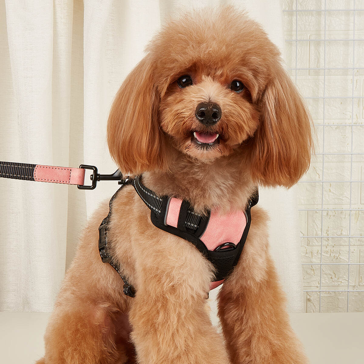 Adjustable Dog Harness Set Luxury Padded Reflective Dog Collars Frosted Pu Microfiber Leather Dog Collar and Leash Set