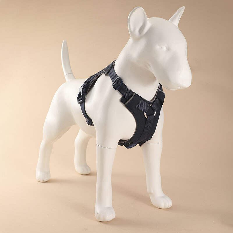 Custom New Design Pet Dog Harness No Pull Soft Padded Nylon Durable Pet Vest for Dogs Walking Hiking Training