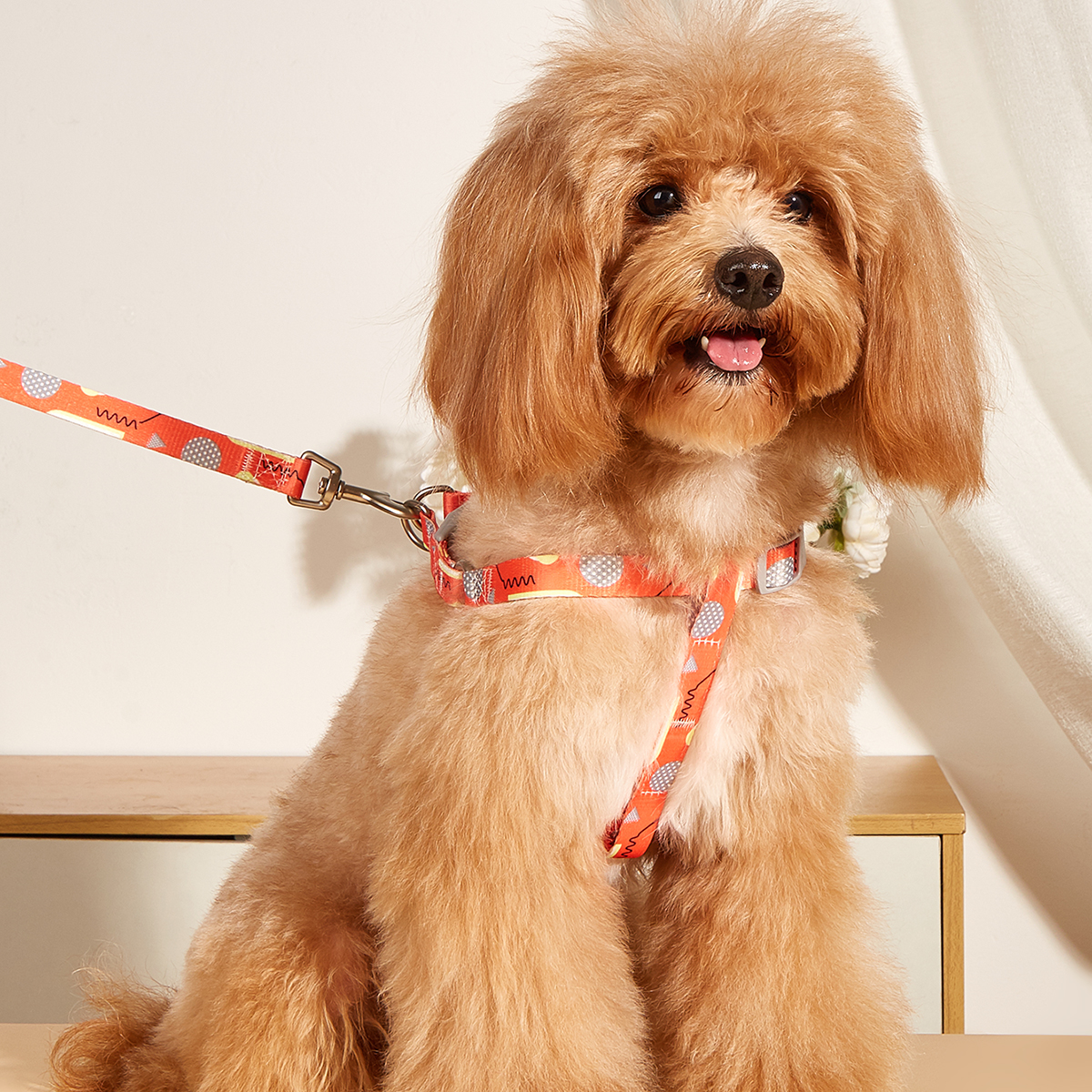 Customized Service Adjustable Straps No Pull Y-shape Sublimation Harness for Dogs
