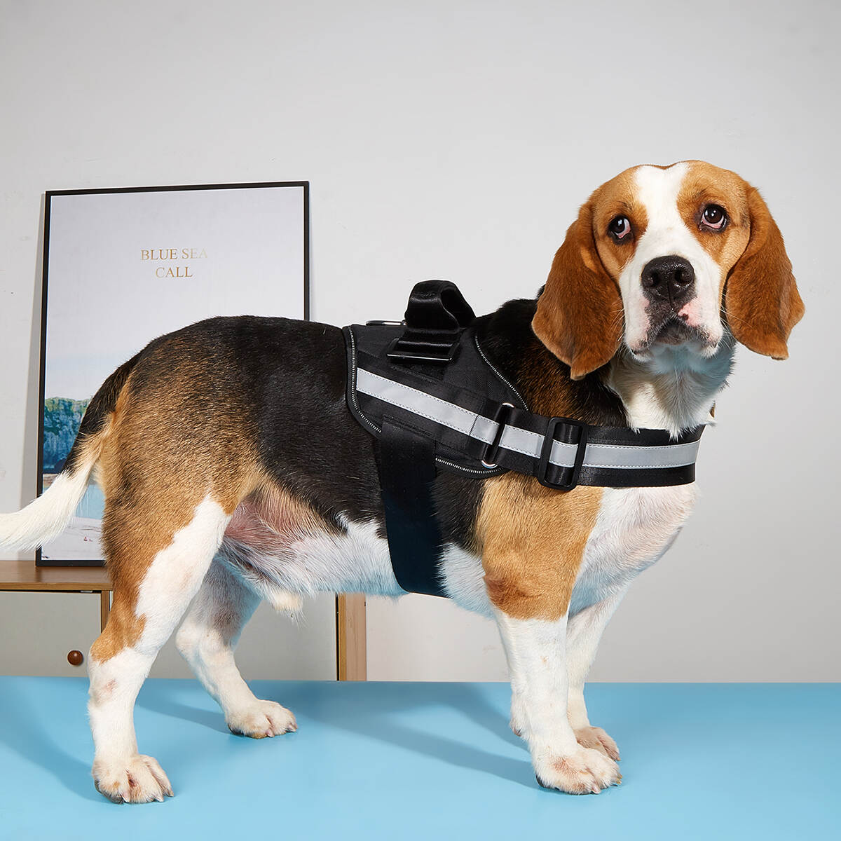 Easy Walking Dog Harness Easy on and Off Pet Vest Harness 3M Reflective Breathable and Easy Adjust Pet Halters with Nylon Hand