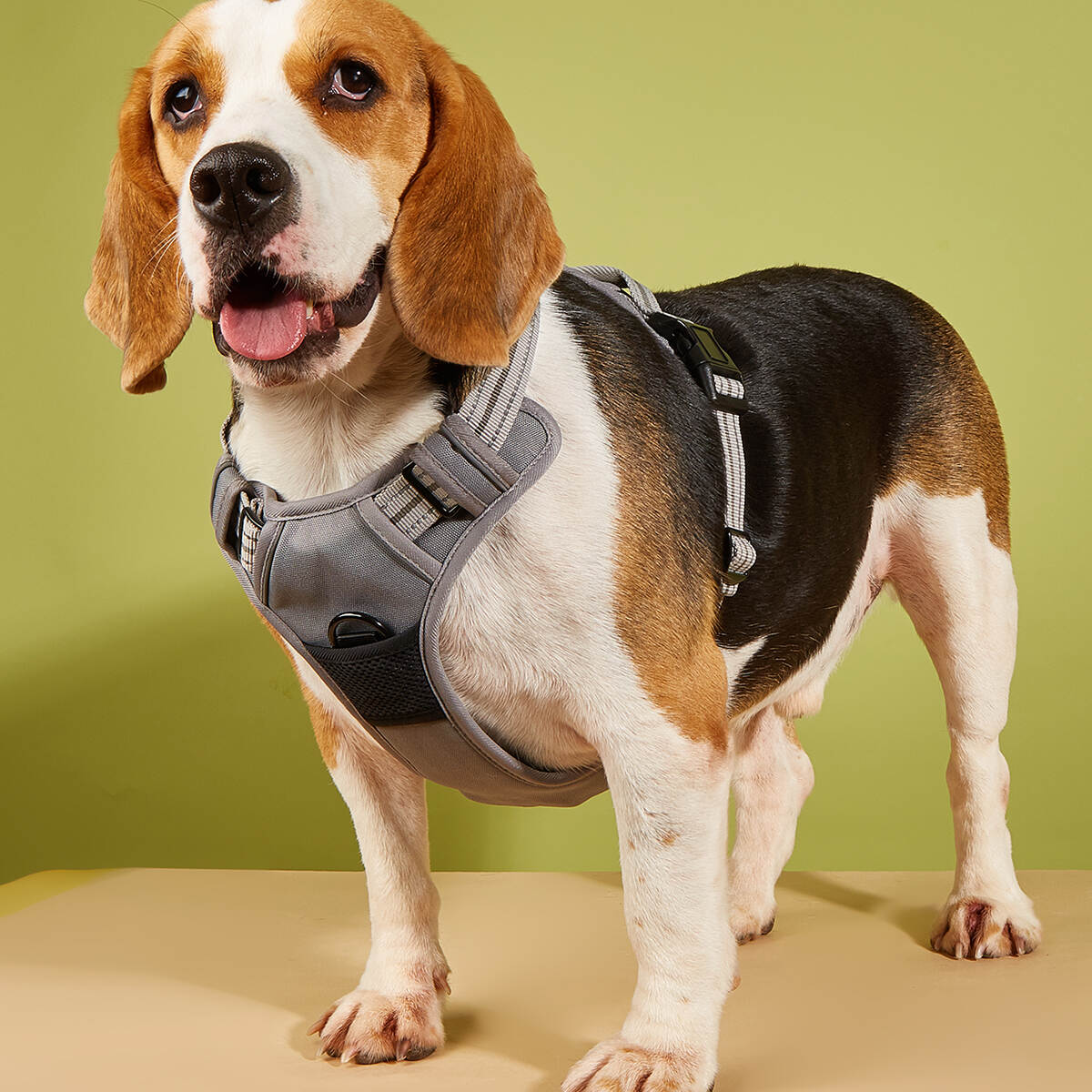 Wholesale Pet Reflective Vest Soft Mesh Padded Dog Vest for Small Medium Large Dogs