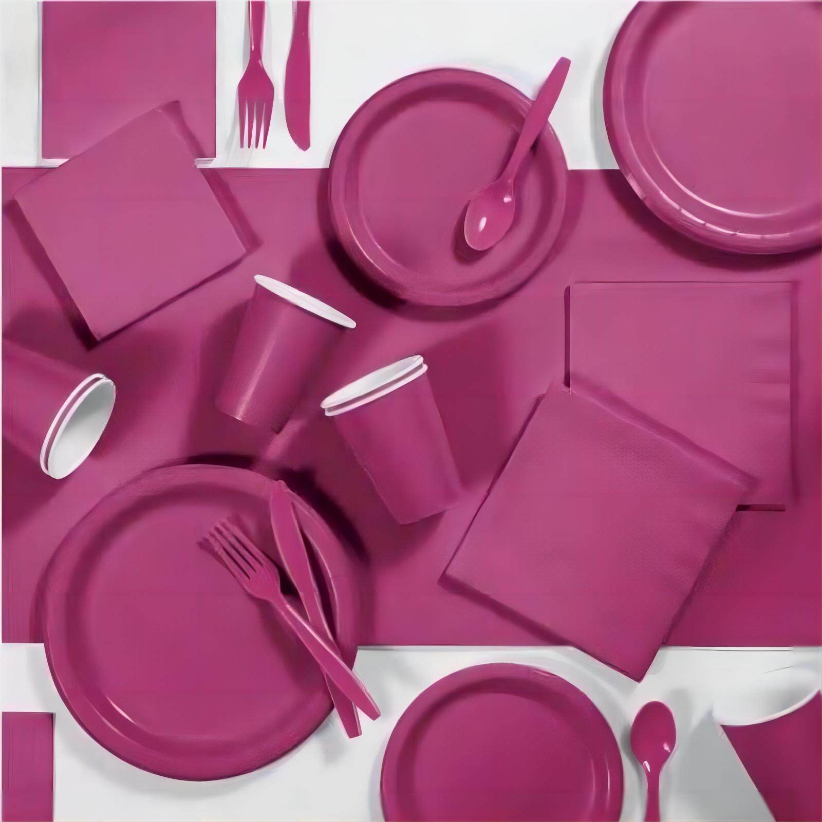 Fuschia tableware pary supplies sets