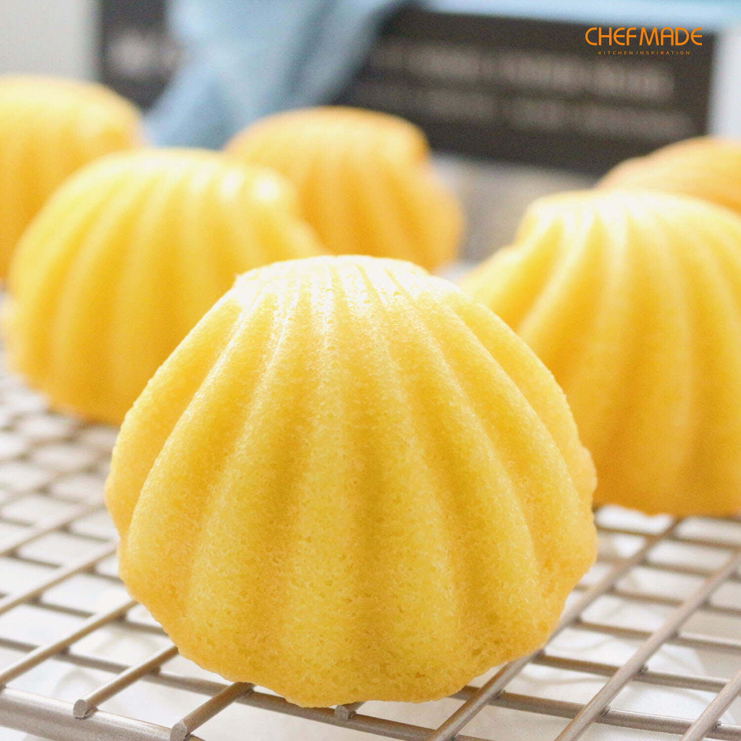shell madeleine baking pan