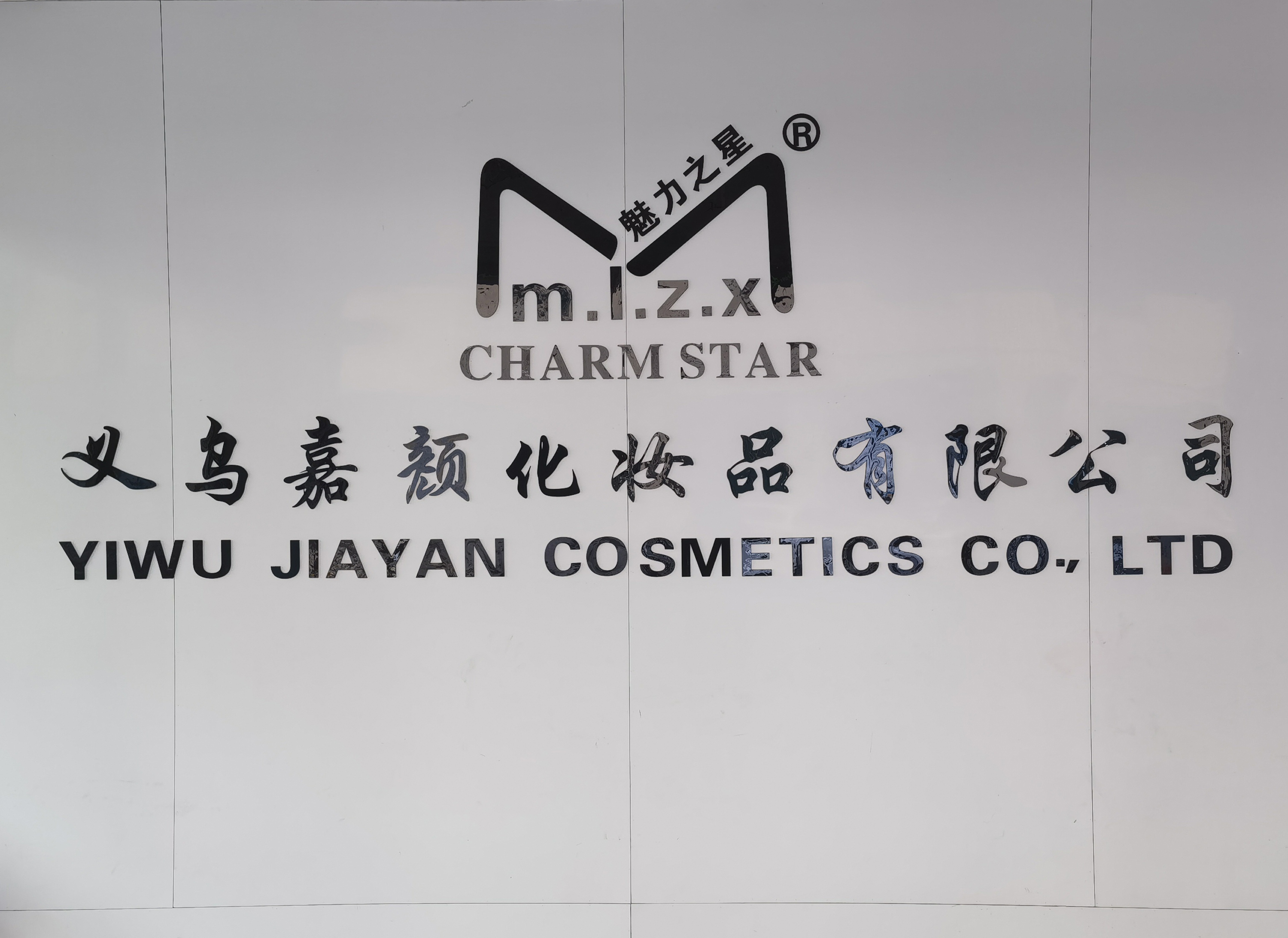 Company Introduction