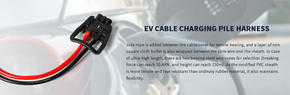 EV cable 充电桩线束详情页海报.jpg