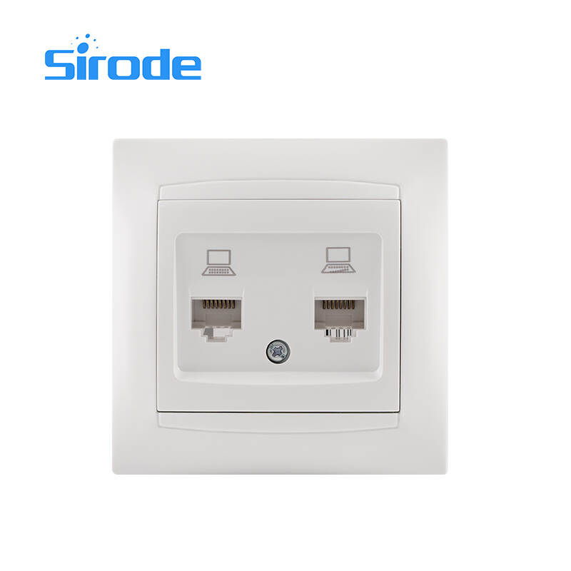Europe Standard 9206 Series Modern White PC Plate Electrical 2 Gang Computer Wall Socket For Home-copy